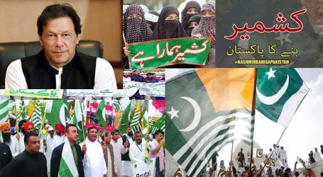 مظلوم کشمیریوں سے اظہارِ یکجہتی: پوری قوم سڑکوں پر نکل آئی، کشمیر بنے گا پاکستان کے نعرے