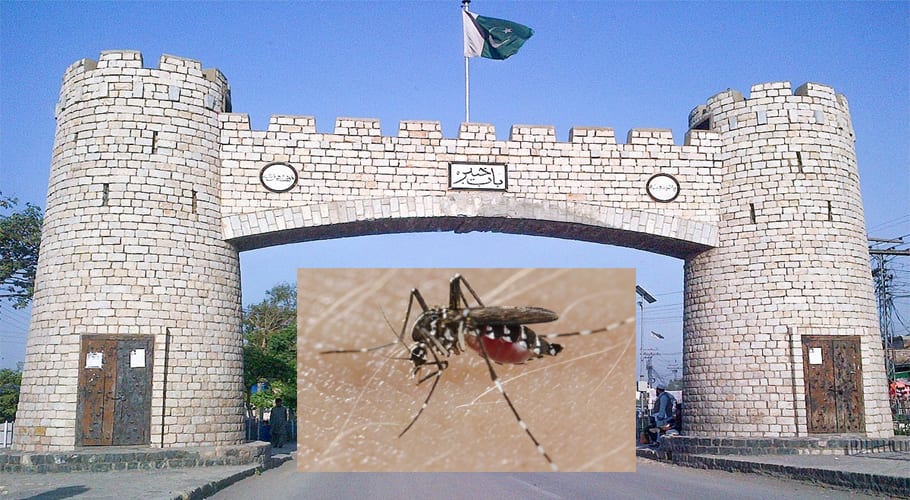 صوبہ خیبر پختونخواہ میں 2614 افراد کے جسم میں ڈینگی وائرس کی موجودگی کی تصدیق