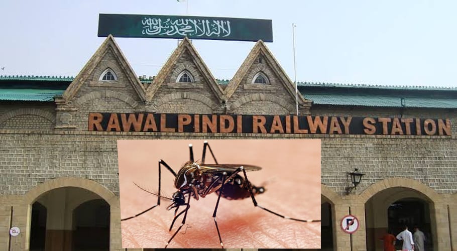 راولپنڈی میں 1499 افراد ڈینگی کا شکار ہوئے، محکمہ صحت کی تصدیق