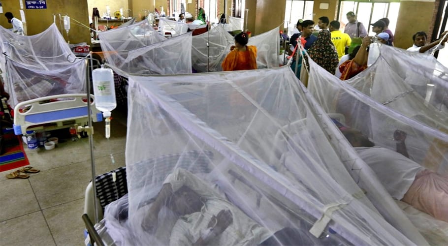 Dengue kills 3 in Karachi