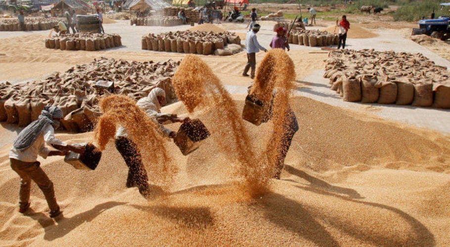 SINDH GOVT SETS RS2200 PER 40KG WHEAT PRICE