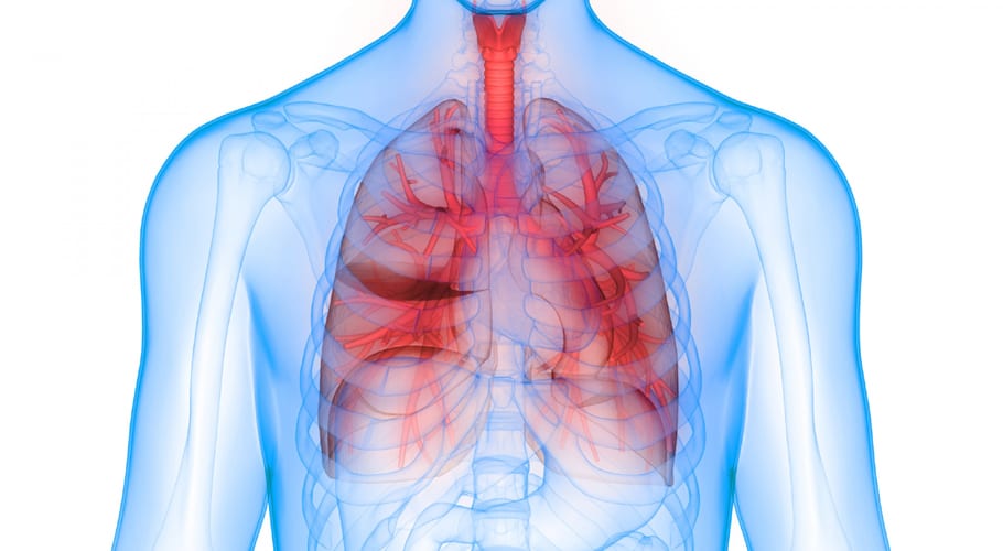 World Pneumonia Day