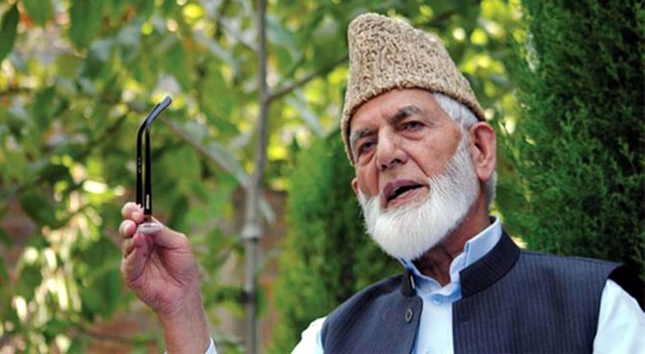 ali gillani