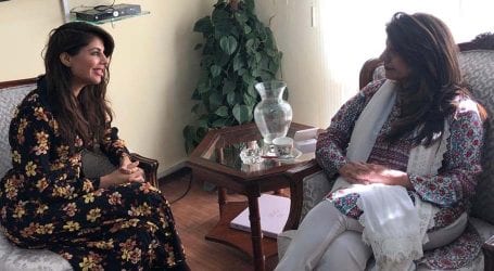 ترجمان دفترِ خارجہ عائشہ فاروقی کی برطانوی ہائی کمیشن کی ڈائریکٹر سے ملاقات