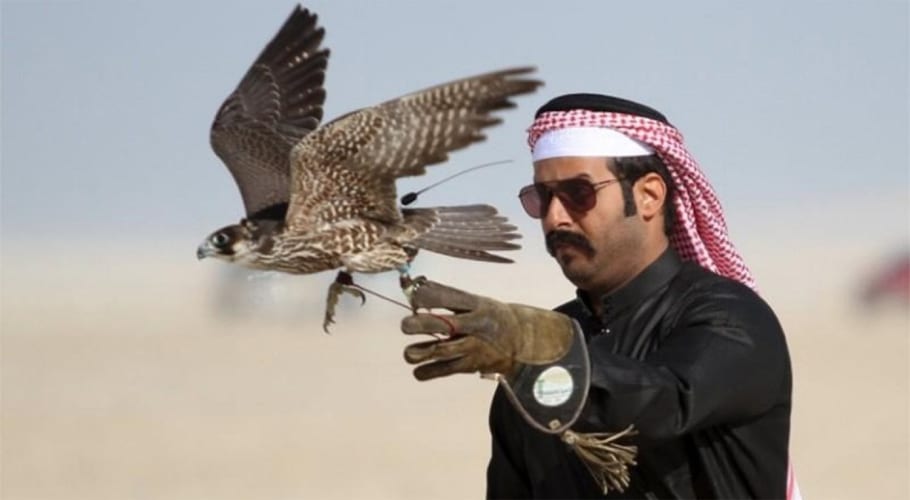 UAE Royal Family Allows Sword Hunt In Pakistan