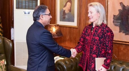 امریکی نائب وزیر خارجہ ایلس ویلز کی سیکرٹری خارجہ سہیل محمود سے ملاقات