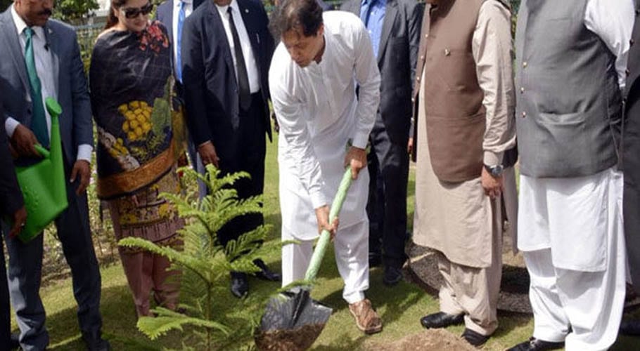 وزیر اعظم عمران خان نے میانوالی میں پودا لگا کر شجر کاری مہم کا افتتاح کردیا