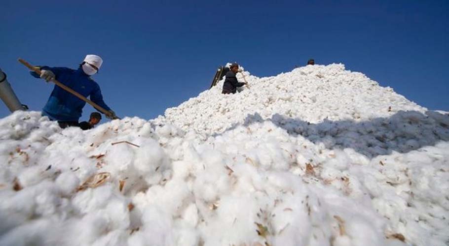 Cotton spot rates decline by Rs400