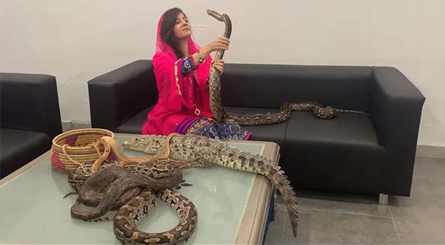 rabi pirzada