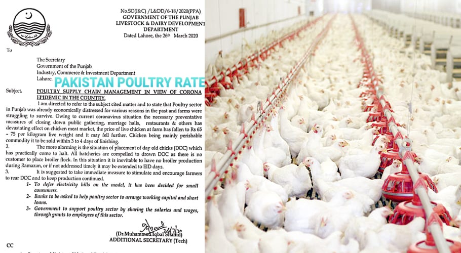 Poultry sector in crisis, seeks relief assistance from Centre