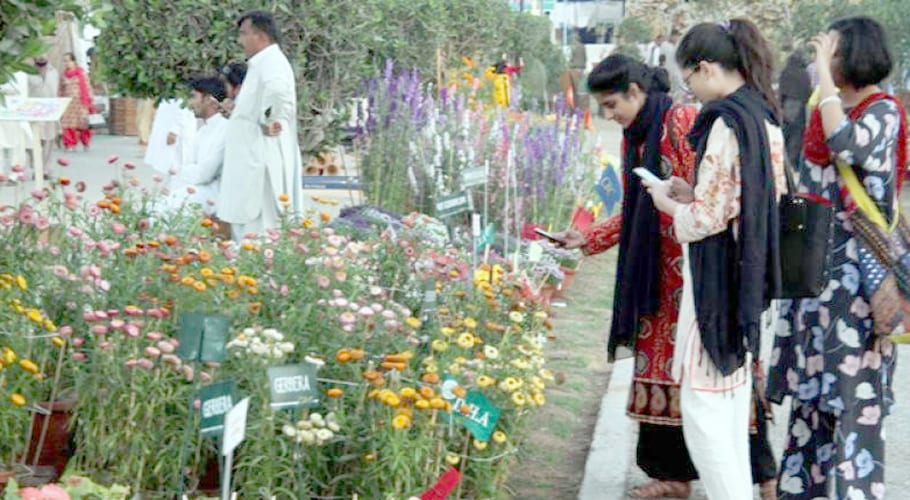 coronavirus: flower exhibition canceled in karachi