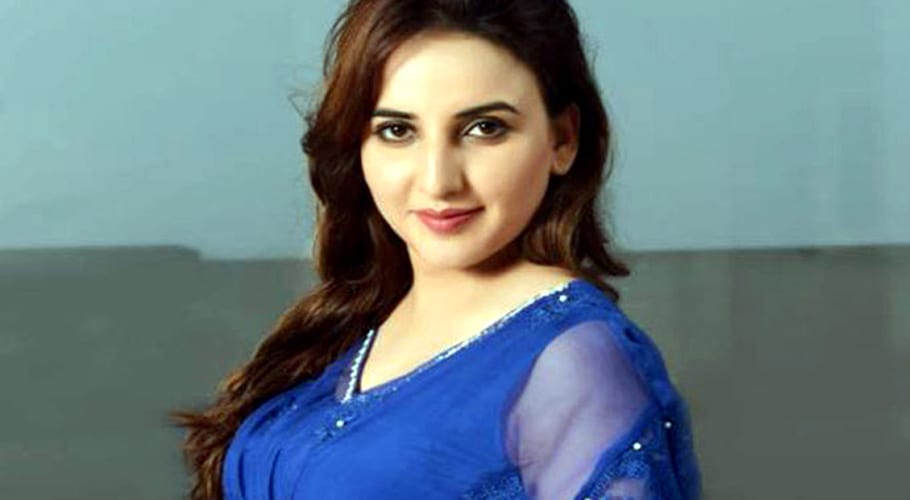 Hareem Shah supported the ban on TikTok