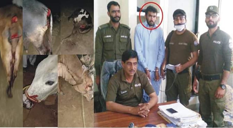 man arrested in gujrat punjab