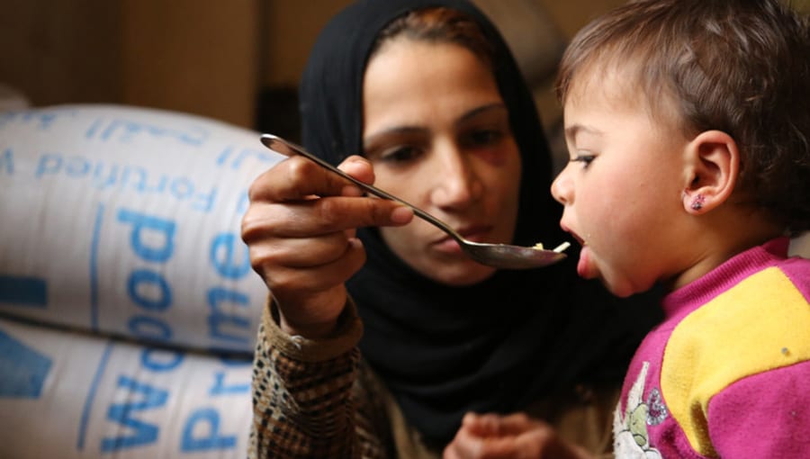World is on brink of ‘hunger pandemic’: UN food agency chief