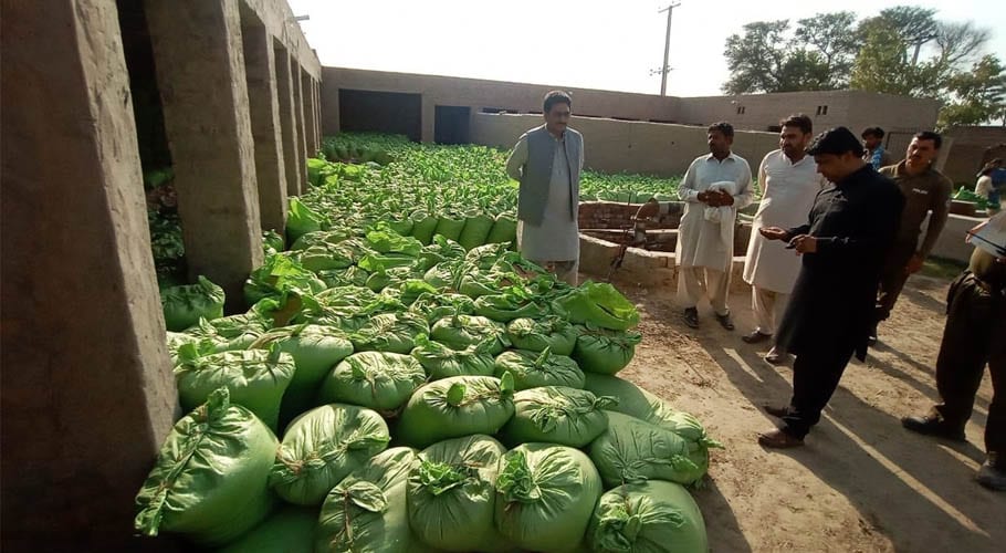خانیوال میں ذخیرہ اندوزوں کے خلاف آپریشن، گندم کی 1500 بوریاں برآمد