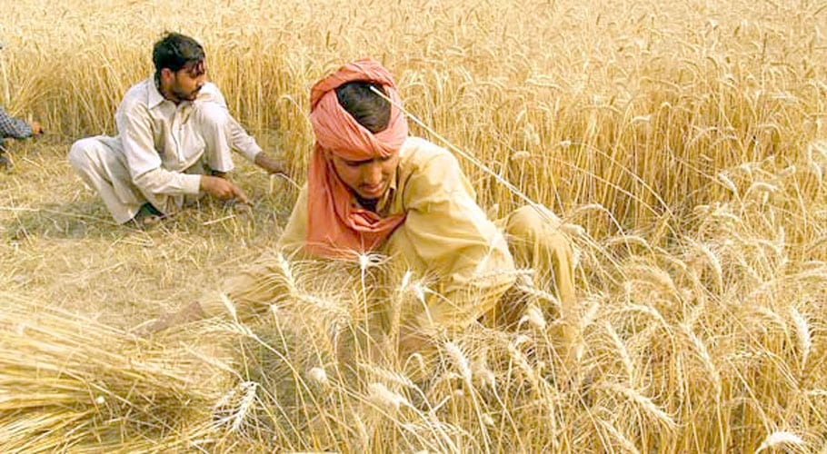 ECC approves Rs100 billion agriculture package