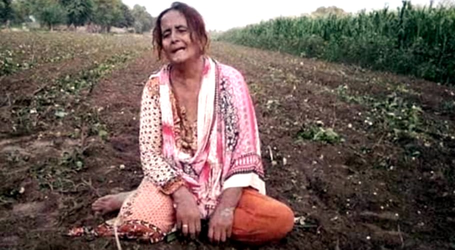 با اثر جاگیرداروں کا بوڑھی بیوہ خاتون کی زمین قبضہ، ٹریکٹر چلا کر فصل تباہ کردی