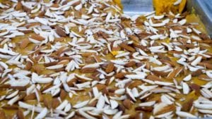 mix halwa 
