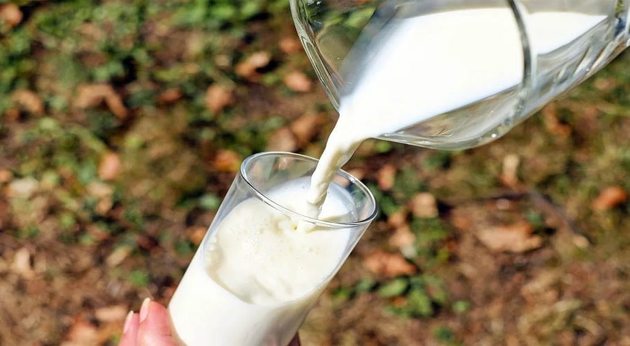 دُنیا بھر میں صحت بخش اور توانائی سے بھرپور دودھ کا عالمی دن آج منایا جارہا ہے