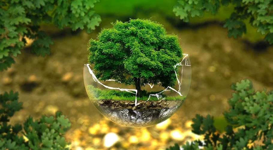 پاکستان سمیت دُنیا بھر میں ماحولیات کا عالمی دن آج منایا جارہا ہے