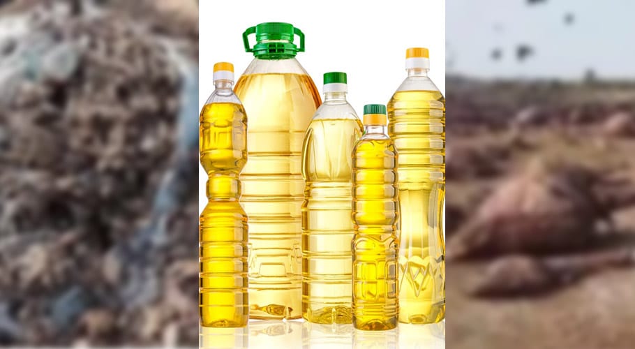 کراچی میں مردار اجسام سے کوکنگ آئل اور صابن کی تیاری دوبارہ شروع کردی گئی