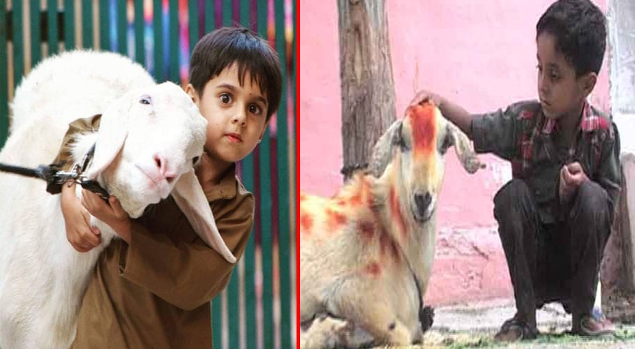 Children happy with Eid-ul-Adha animals