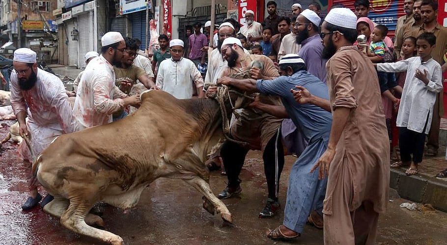 سندھ میں قربانی کی اجازت صرف مخصوص مقامات پر ہوگی، ناصر حسین شاہ