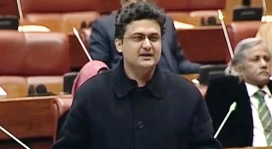 سابق حکمران تمام ادارے خسارے میں چھوڑ کر گئے، سینیٹر فیصل جاوید