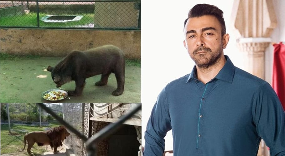 بحریہ ٹاؤن میں جانوروں کی حالت قابلِ رحم، شان نے چڑیا گھر بند کرنے کا مطالبہ کردیا