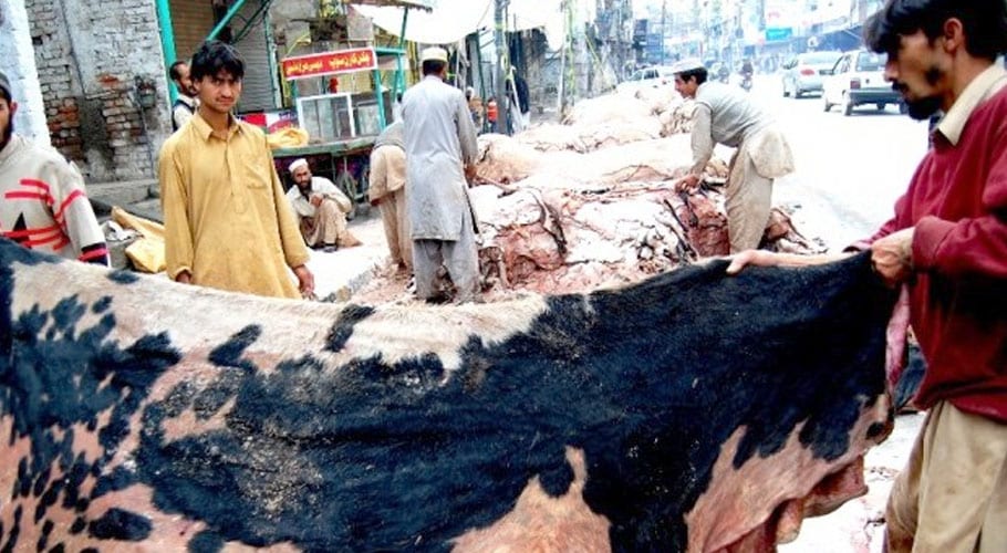 محکمہ داخلہ سندھ کا قربانی کی کھالیں جمع کرنے کے حوالے سے حکم نامہ جاری