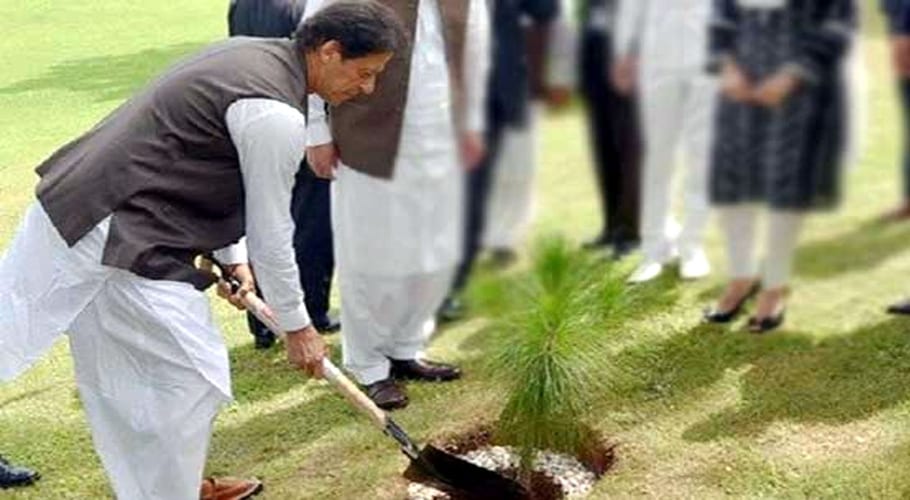 بلین ٹری سونامی، وزیرِ اعظم عمران خان پودا لگا کر 1 ارب درخت آج مکمل کریں گے