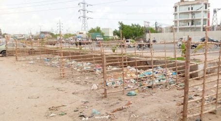 کہیں اجازت، کہیں پابندی، شہر میں غیر قانونی مویشی منڈیوں نے سندھ حکومت کو بے نقاب کردیا