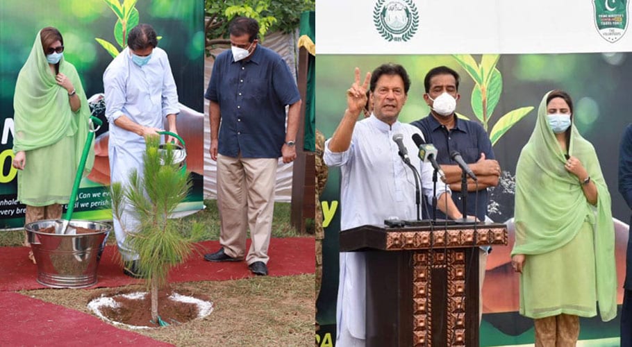وزیرِ اعظم عمران خان شجرکاری کیلئے گھروں سے نکلنے والے عوام کے شکر گزار