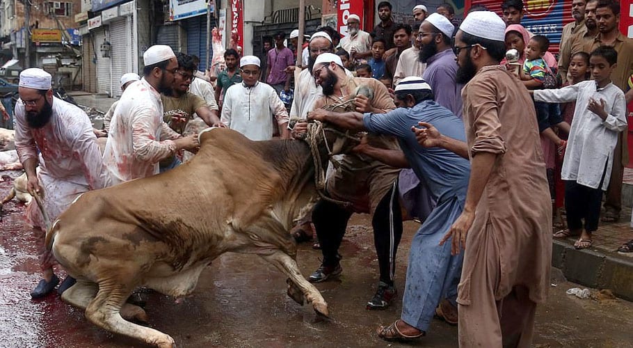 Citizens continue celebrating Eid-ul-Adha, sacrificing animals
