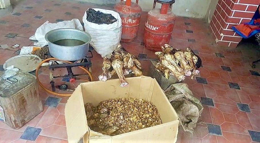Oil Prepared from Dead Animals Being Sold in Karachi