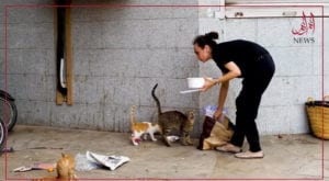 Meet Yasmin Zaidi who singlehandedly feeds homeless animals across Karachi