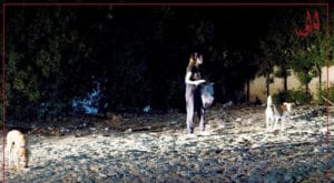 Meet Yasmin Zaidi who singlehandedly feeds homeless animals across Karachi