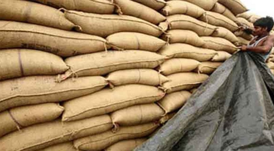 وفاق کا مبینہ دباؤ، سندھ حکومت کا 15سے 20 اکتوبر تک گندم جاری کرنے کا اعلان