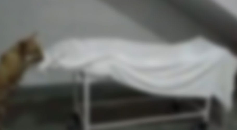 بھارت، اسپتال میں رکھی لڑکی کی لاش کو کتے نے بھنبھوڑ ڈالا، ویڈیو وائرل