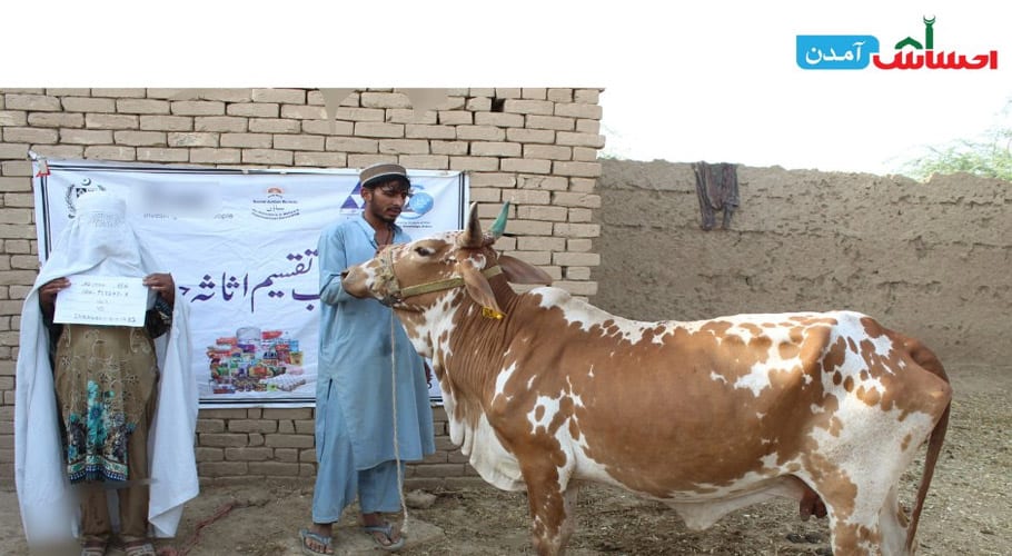 وزیرِ اعظم کا احساس آمدن پروگرام، ڈیرہ اسماعیل خان کی نسیم بی بی کو گائے فراہم