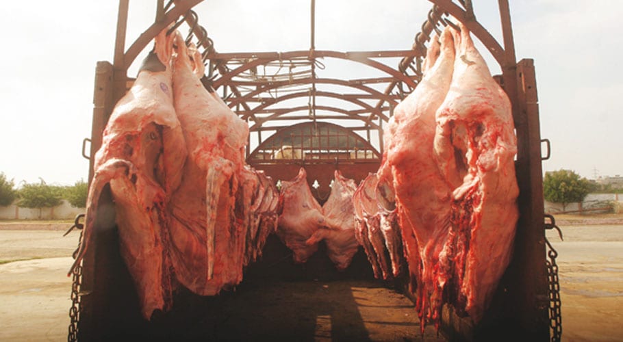 Illegal slaughter house set up in Zaman Town