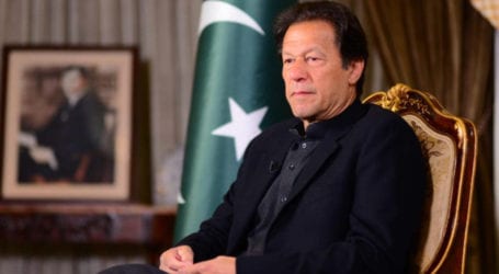 وزیرِ اعظم عمران خان نے قومی اسمبلی سے اعتماد کا ووٹ حاصل کر لیا