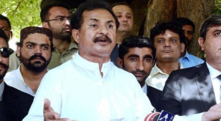 سندھ میں سیاسی مخالفین کو انتقامی کارروائیوں کو نشانہ بنایا جاتا ہے، حلیم عادل شیخ