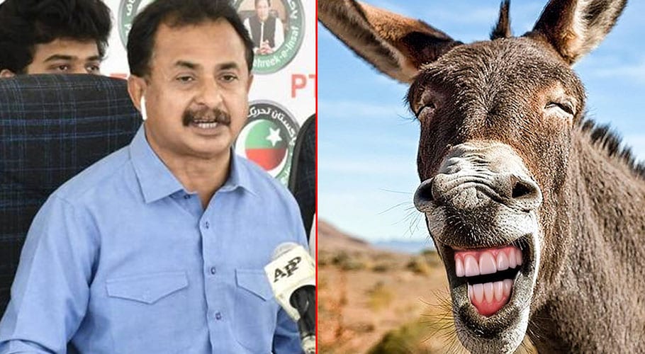 Haleem Adil sheikh donkey