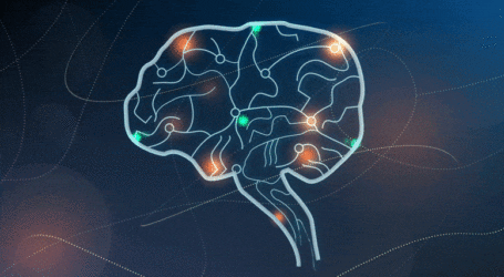 سائنسدانوں نے دماغی آئن چینل کومتاثرکرنے والی دواذہنی دباؤکے علاج کیلئے اہم قراردے دی