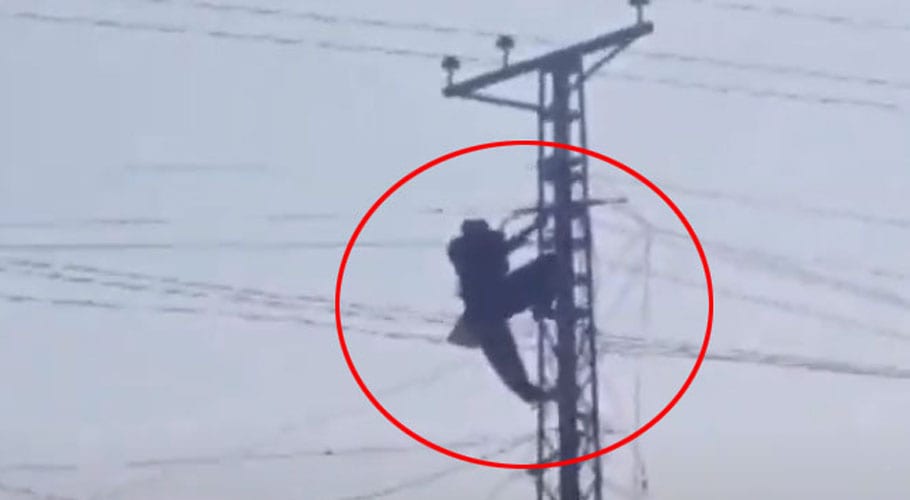 Youth climbs electric pole