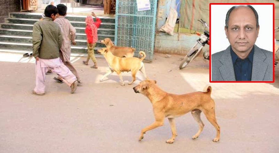 man attacked by dog in Karachi