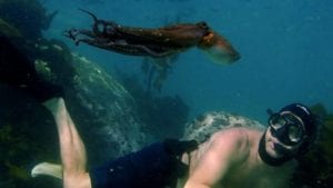 My Octopus Teacher