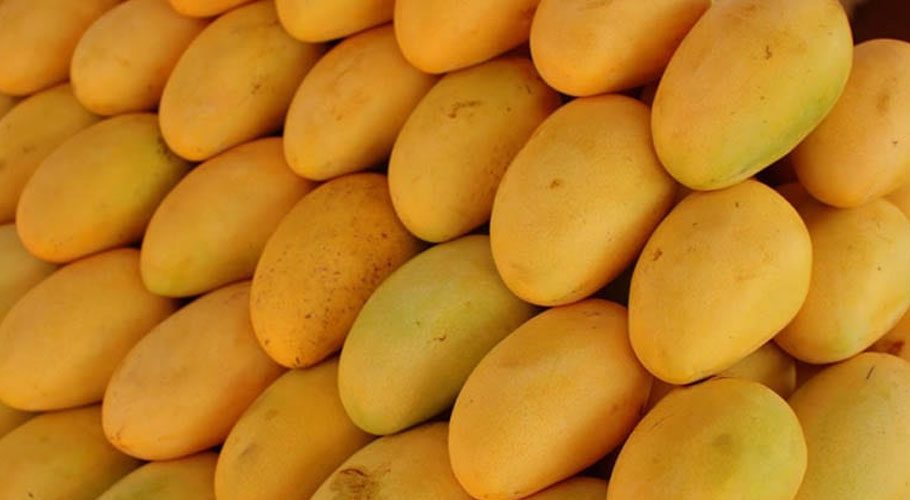 Mango Export in pakistan