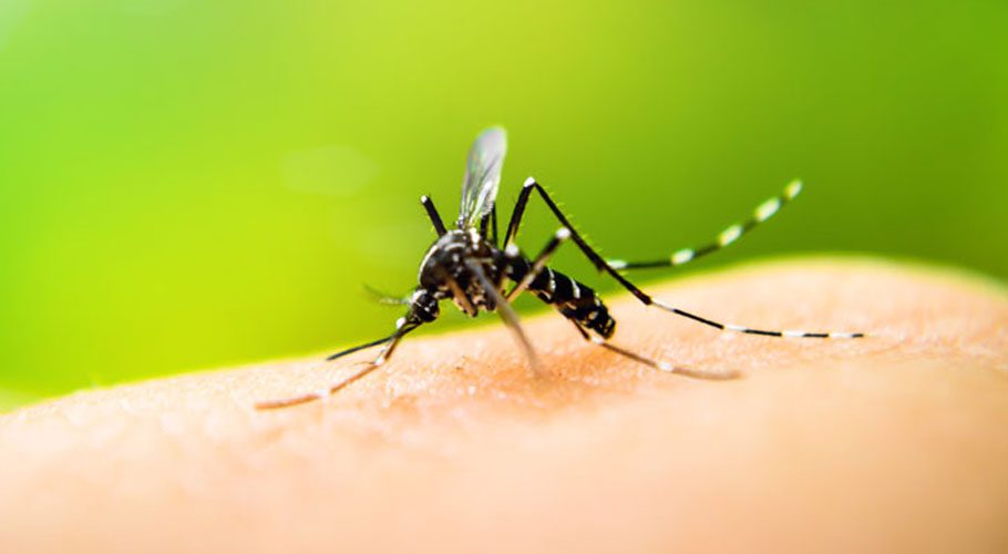 کورونا کی علامات کا خطرہ ڈینگی کے مریضوں میں زیادہ ہوتا ہے، تحقیق